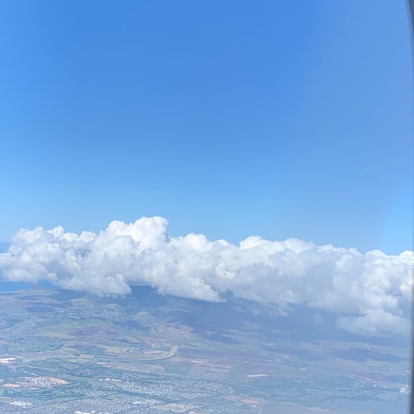 Meet your Posher, Lucy - Picture 1 of 1